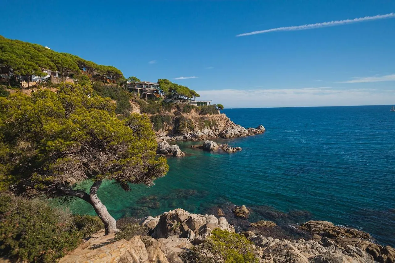 Comfortable Apartment With A Swimming Pool, 250M To The Sea. Lloret de Mar 0*,