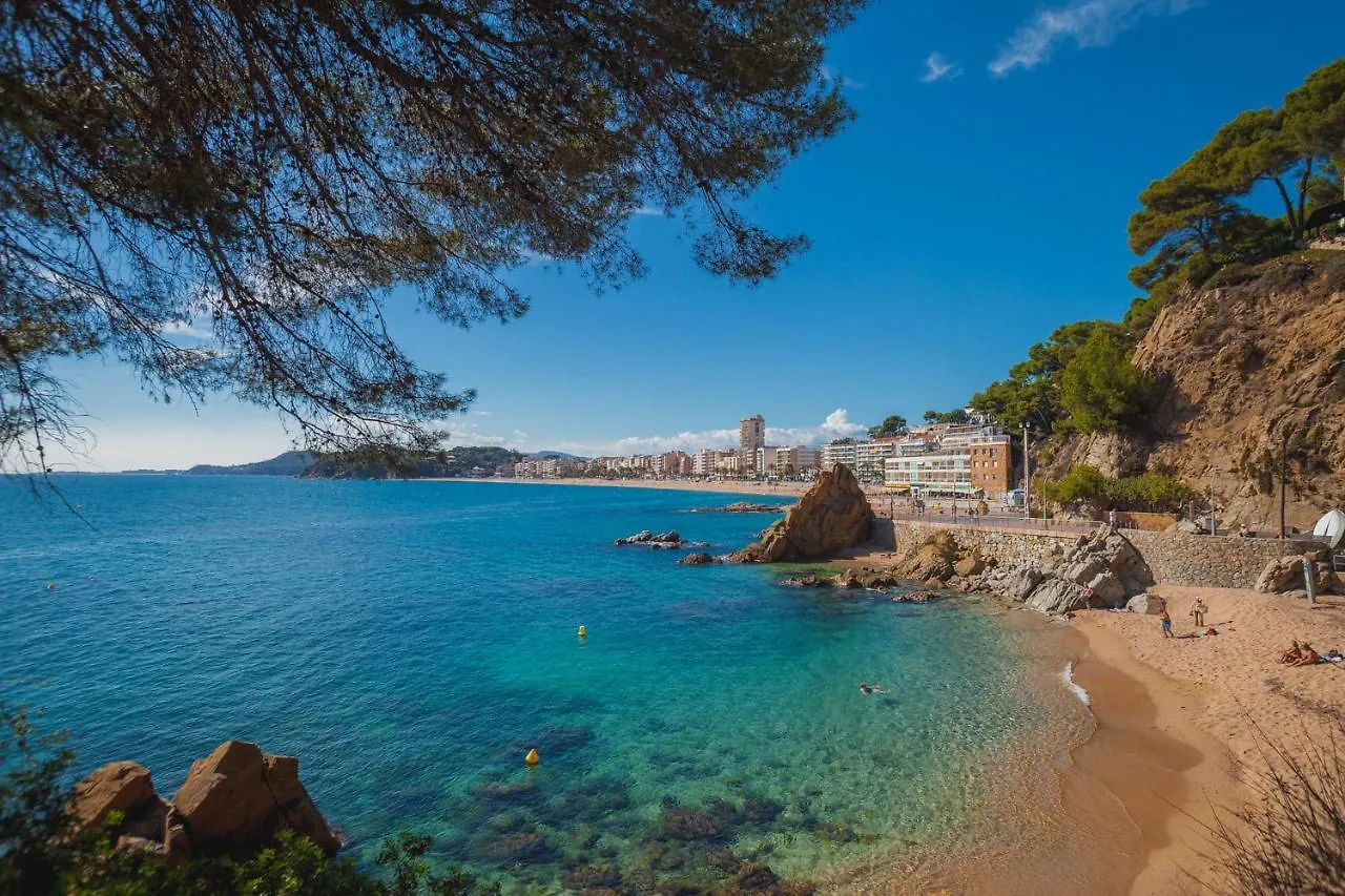 Comfortable Apartment With A Swimming Pool, 250M To The Sea. Lloret de Mar